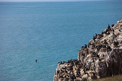 《龙之信条：黑暗觉者》Steam史低促销 续作要来？