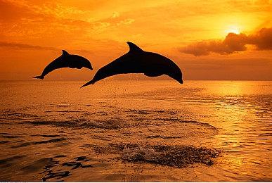 《巫师3》次世代版Mod改善光追＆修复阴影问题