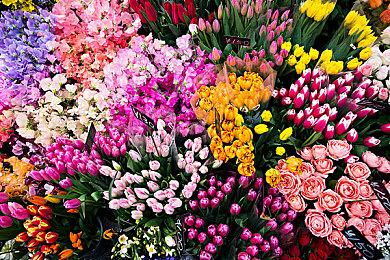 SCS 2025年度总决赛圆满落幕！选手M’、XiaoHai分获总冠军